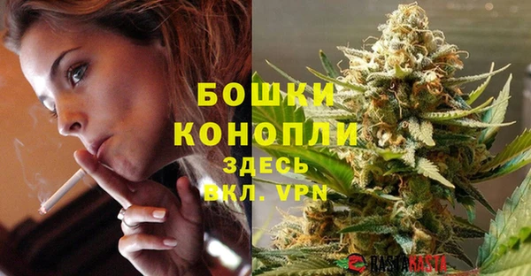 крисы Арсеньев