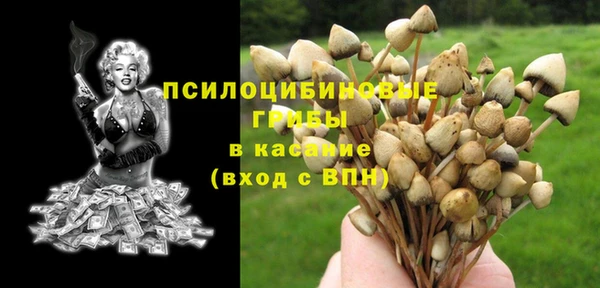 MESCALINE Осинники