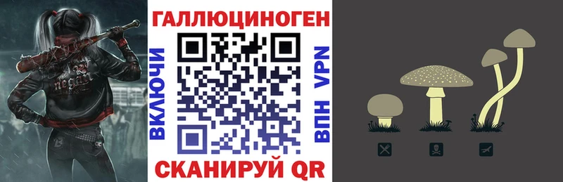 Псилоцибиновые грибы GOLDEN TEACHER  магазин продажи наркотиков  Асбест 